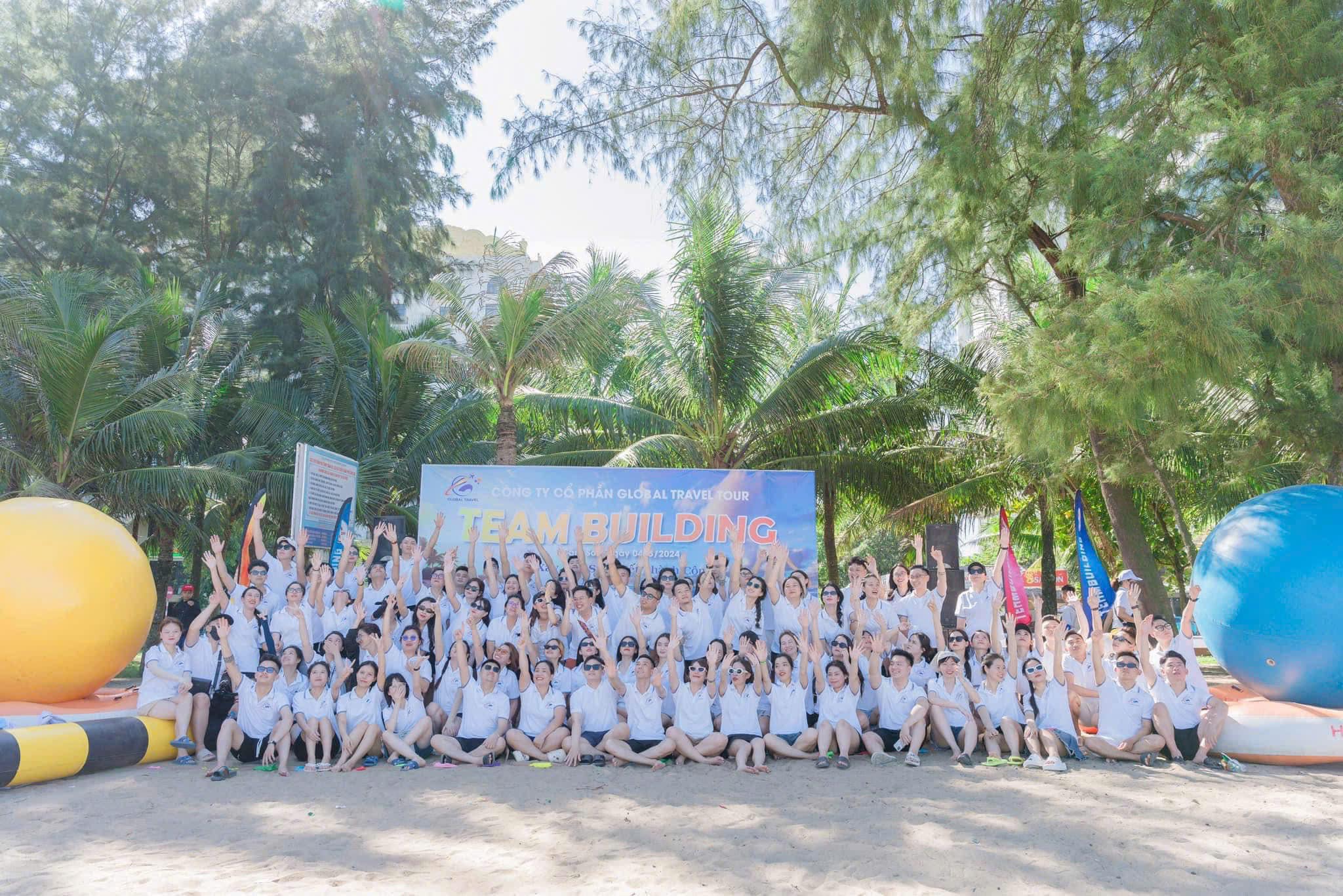 lĩnh vực hoạt động